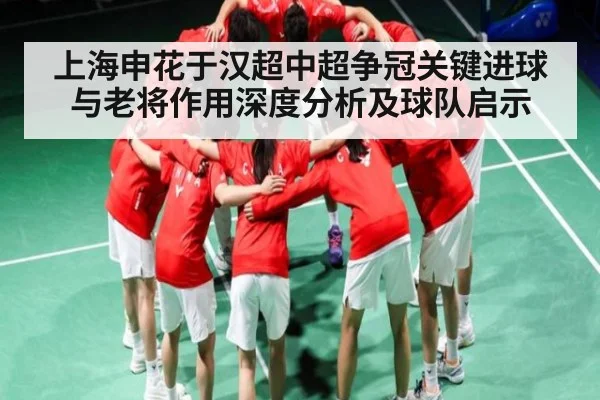 上海申花于汉超中超争冠关键进球与老将作用深度分析及球队启示